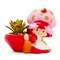 Strawberry Shortcake 4-Inch Ceramic Mini Planter With Artificial Succulent